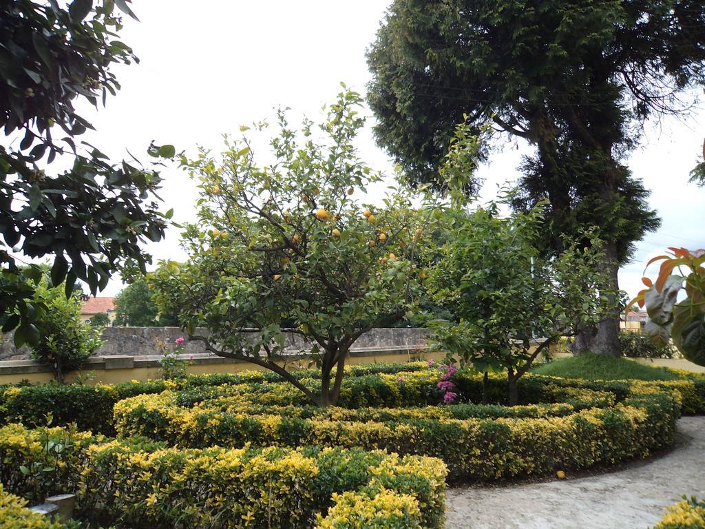 Nobre Oporto